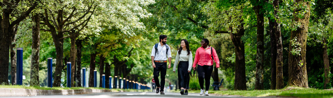 Picture of Singleton Campus, Swansea University