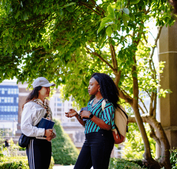 Two student standing by a tree having a conversation.