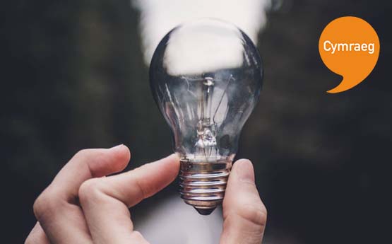 Ysgrifennu&rsquo;n feirniadol