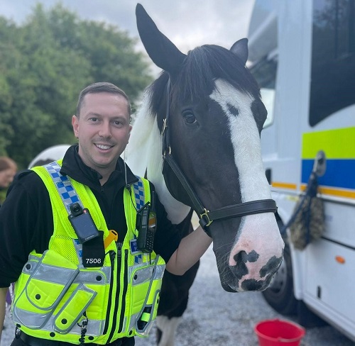 image of South Wales Police officer and police horse