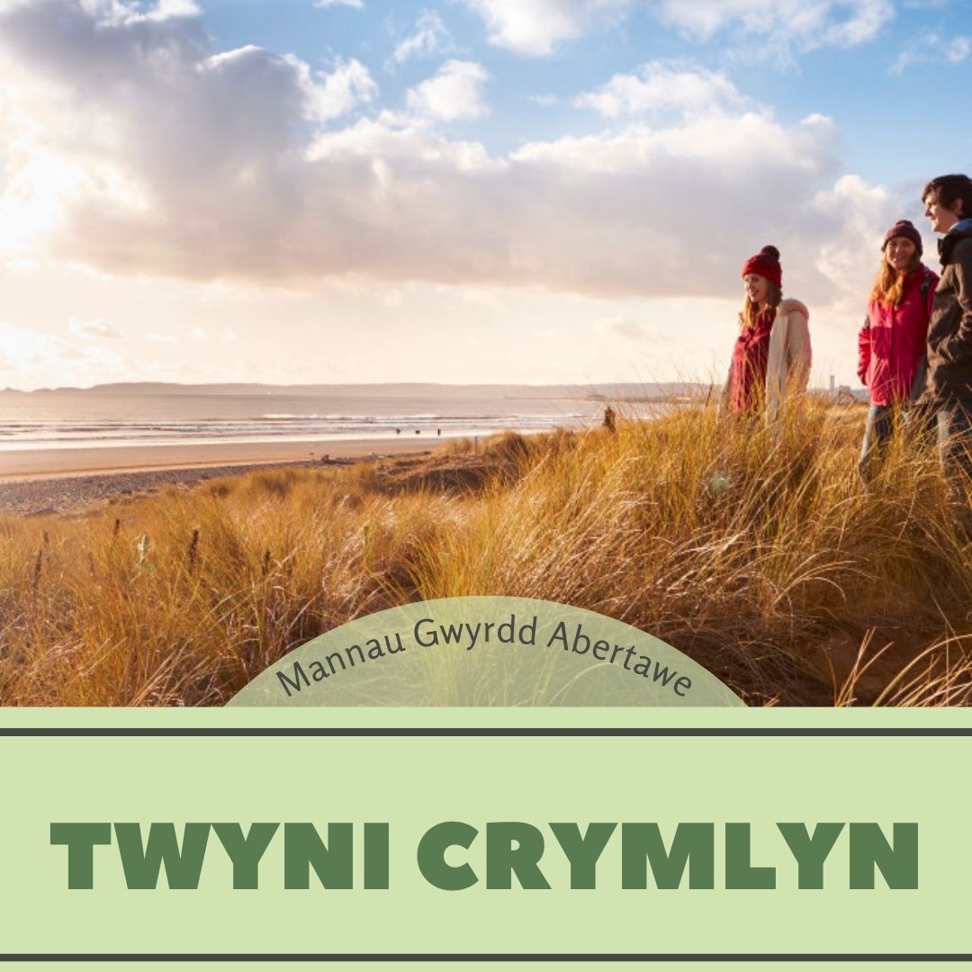 twyni crymlyn