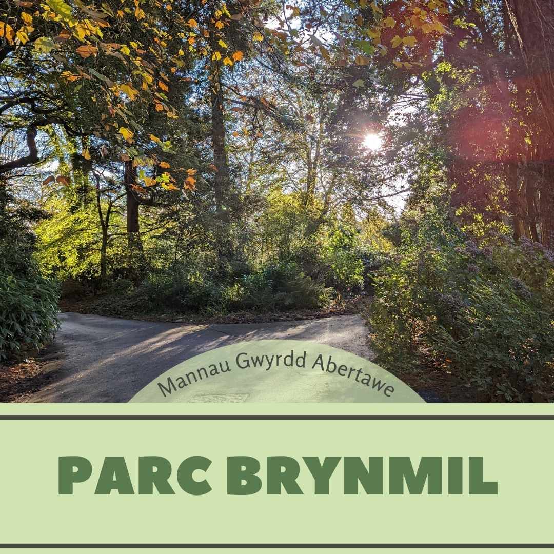 parc brynmil