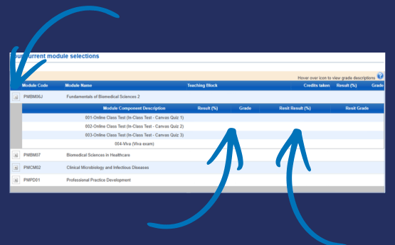 Screen shot of Swansea university intranet.