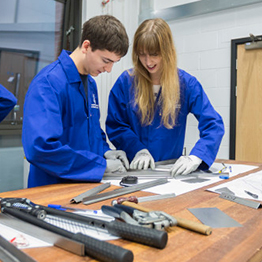 Peirianneg Fecanyddol