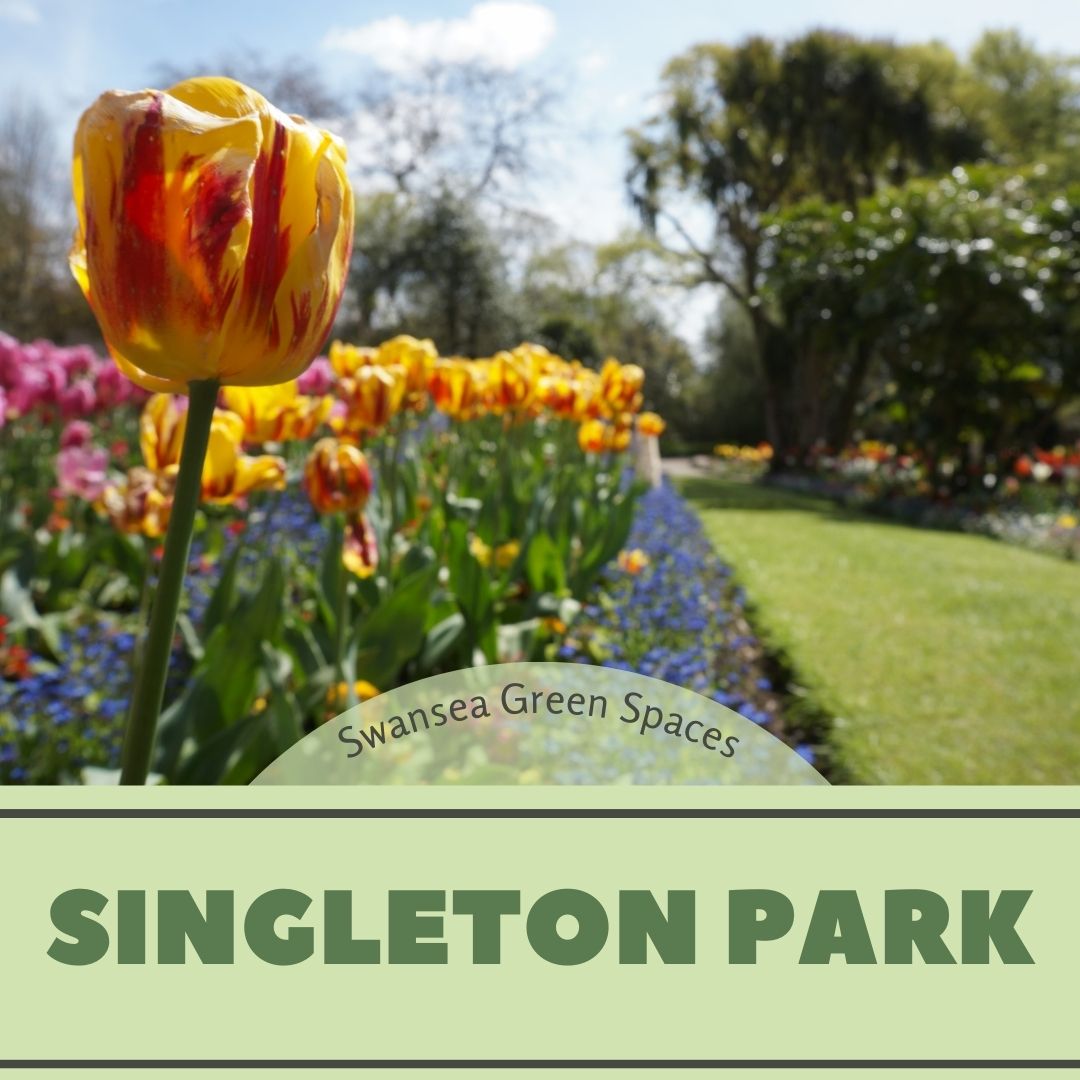 Singleton Park