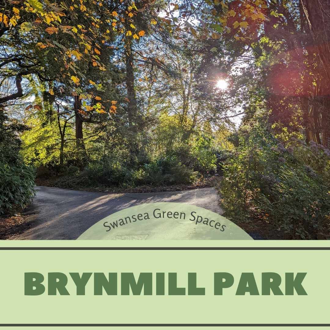 Brynmill Park