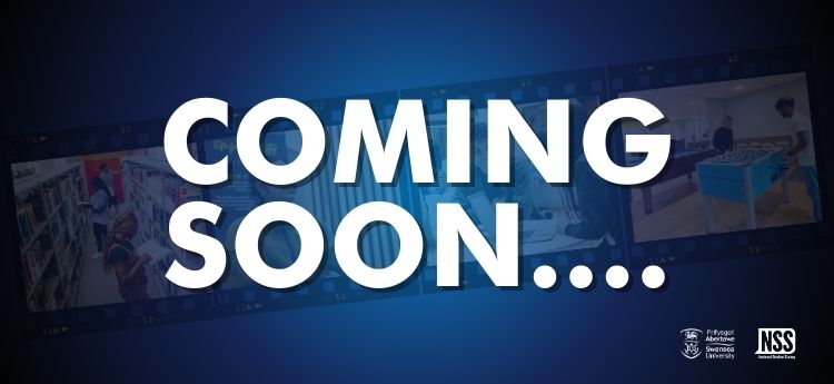 Big Swansea Survey logo