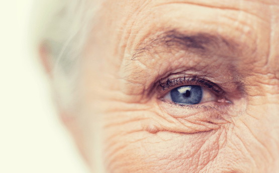 A zoom in on an older woman's blue eye and grey hair.